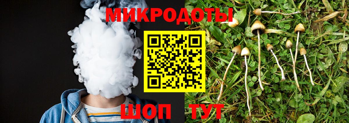 Владикавказ  где продают   Вход с VPN  Галлюциногенные грибы MAGIC MUSHROOMS 
