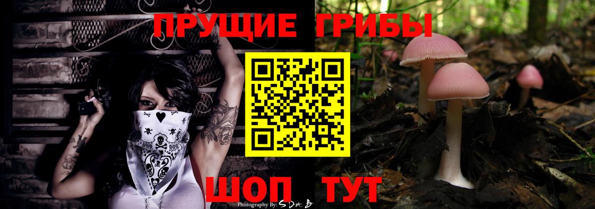 Псилоцибиновые грибы Cubensis Владикавказ