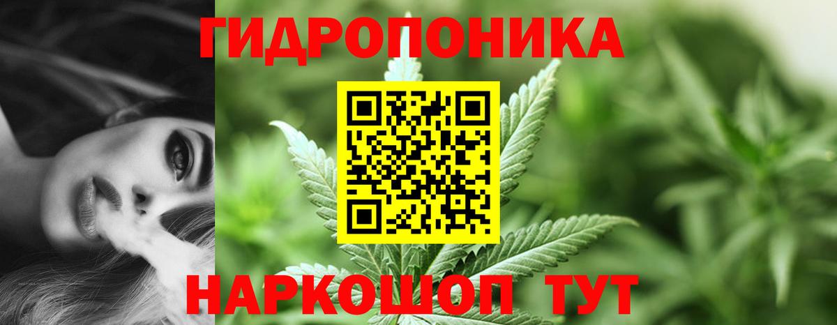 Владикавказ  Конопля гибрид  Вход с VPN  Шишки марихуана OG Kush  Канабис VHQ  Марихуана планчик 